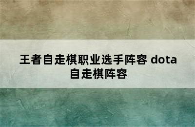 王者自走棋职业选手阵容 dota自走棋阵容